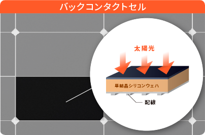 バックコンタクトセル